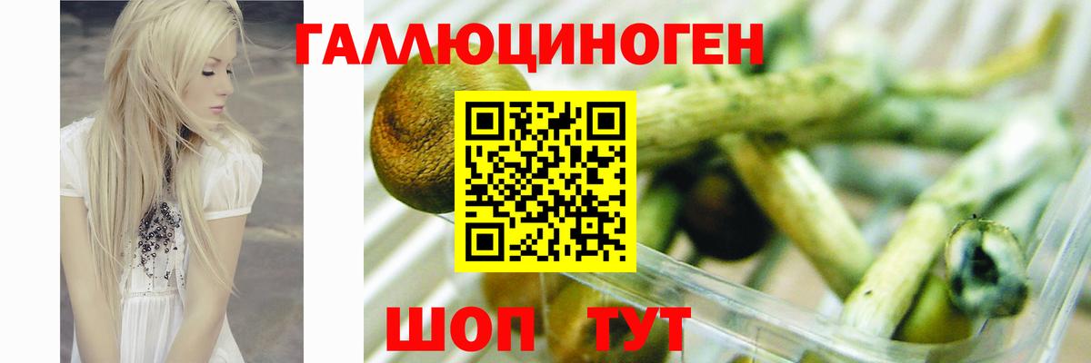 Галлюциногенные грибы прущие грибы  Вход с VPN  Урюпинск 